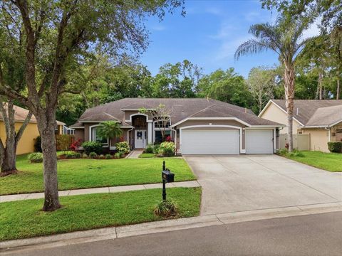 Photo of 10602 Chambers Drive, Tampa, FL 33626 (MLS # TB8504103)