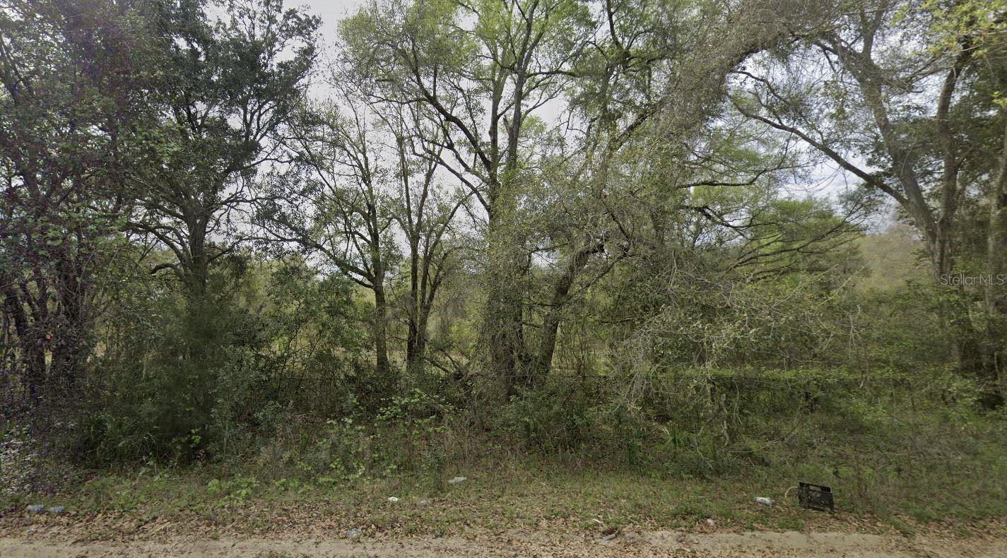 Owner financing is available with only $1,500 down! Don't Miss out on this High and dry 0.32 acre lot. Looking to purchase your dream property in Florida, look no further. This lot is listed below market value! Buying Land in Florida is a solid investment for your future, build your dream home, vacation home, rental investment or let the land build value as a great long-term investment to resell for a future profit.