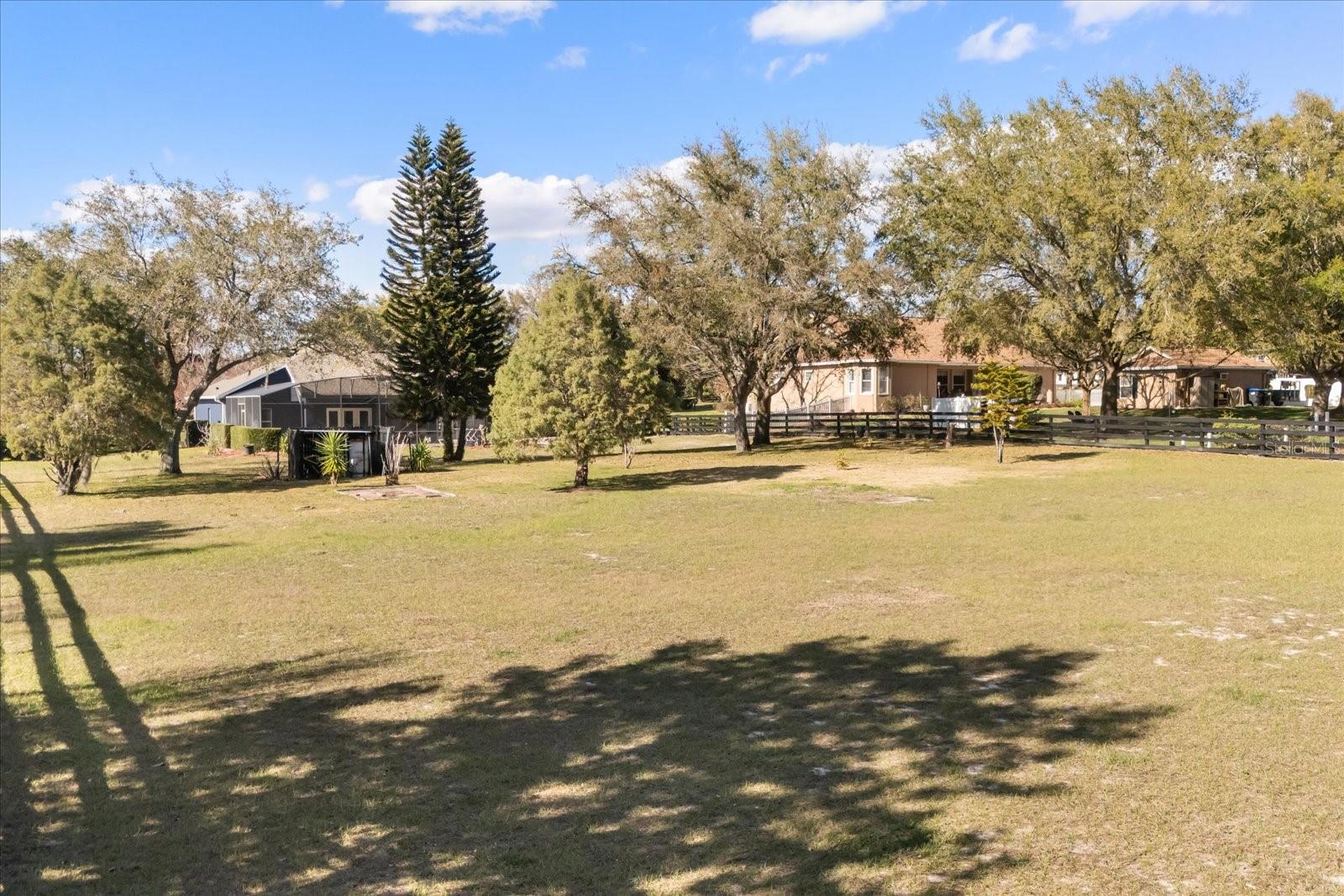 LAURELS MOUNT DORA 45/98 - Residential