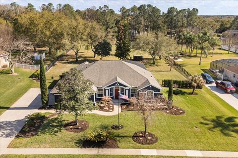 Photo of 7624 Lake Angelina Drive, Mount Dora, FL 32757 (MLS # G5108717)