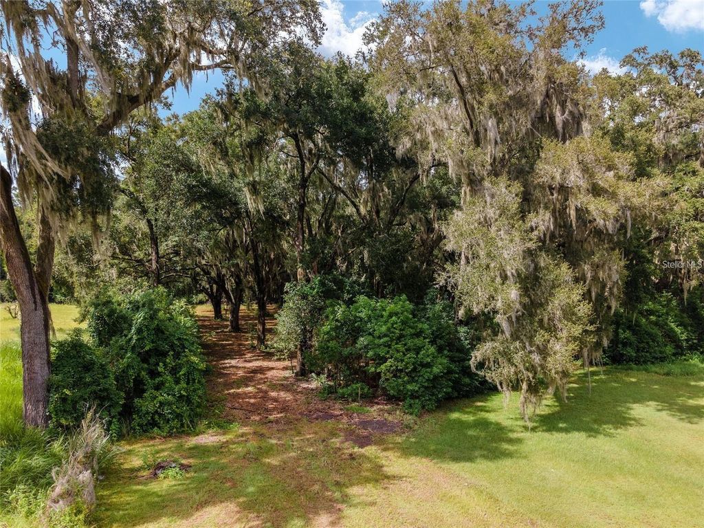 Photo of Tbd SE 122nd Place, Ocklawaha, FL 32179 (MLS # OM710476)