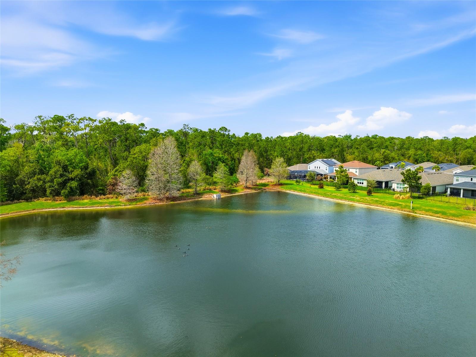 BOYETTE OAKS - Residential