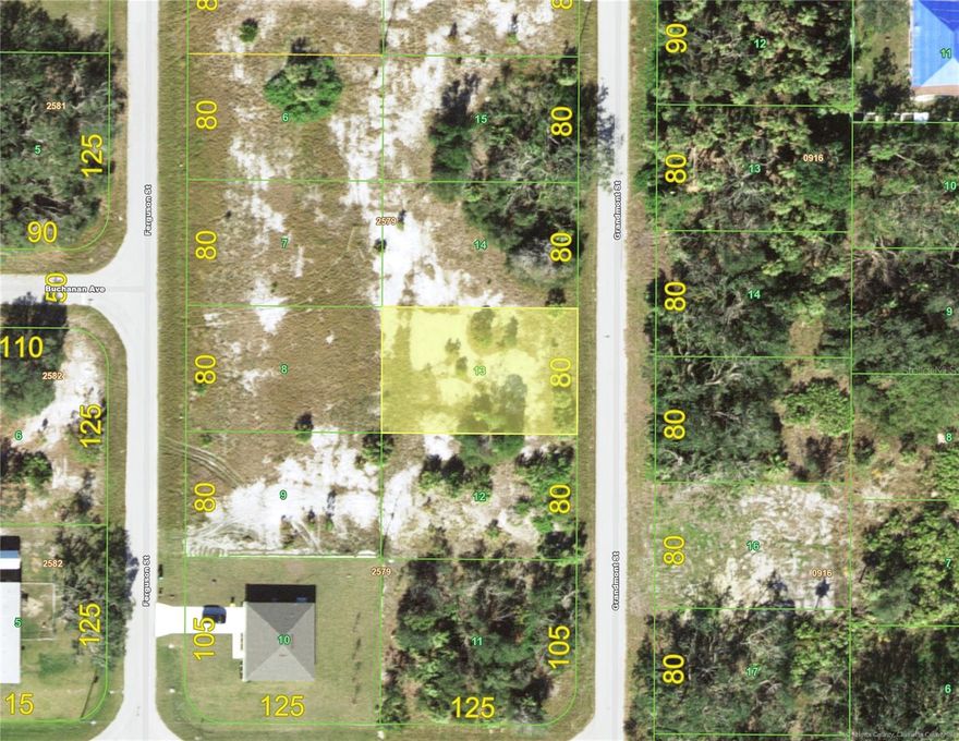 Located in a growing part of Port Charlotte with newer homes popping up nearby, just minutes to shopping of every kind and dozens of restaurants in the Murdock area, yet this property boasts countrylike appeal. There are so many amenities nearby and the mall is just down Veterans Blvd. or you can continue on down 776 to the Tampa Bay Rays spring training stadium or Charlotte County fairgrounds and beyond you can take a ride to the pristine gulf beaches of Boca Grande or Manasota Key. This is a great spot for your dream home with the advantage of needing very little clearing and offered at an affordable price.