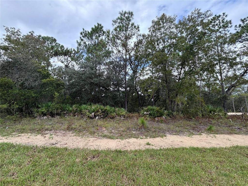 Photo of 1871 W Hialeah Drive, Citrus Springs, FL 34434 (MLS # TB8436187)