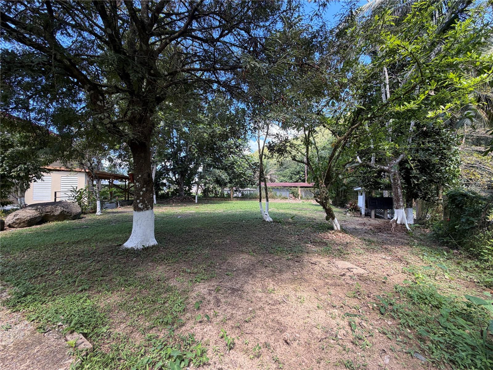 BORINQUEN WARD, CASA GRANDE SECTOR - Residential