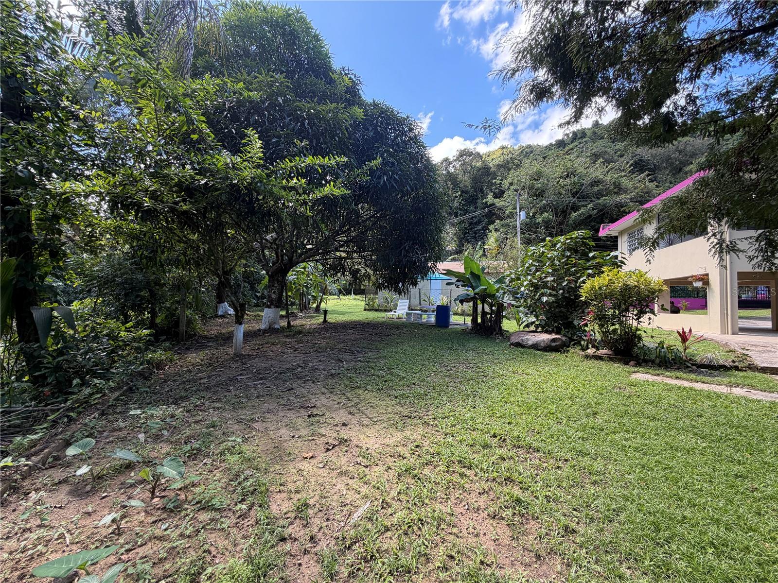 BORINQUEN WARD, CASA GRANDE SECTOR - Residential