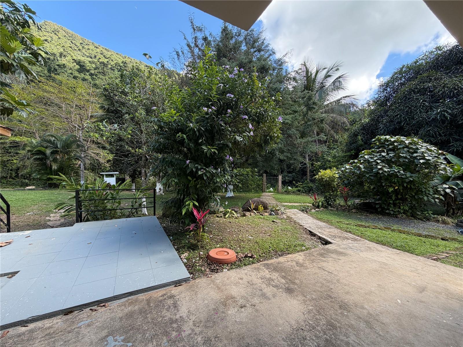 BORINQUEN WARD, CASA GRANDE SECTOR - Residential