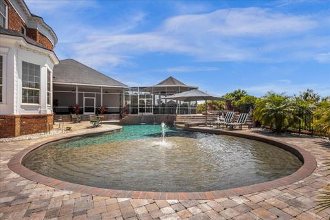 A home in MOUNT DORA