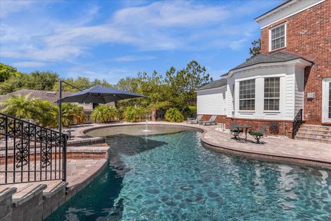 A home in MOUNT DORA