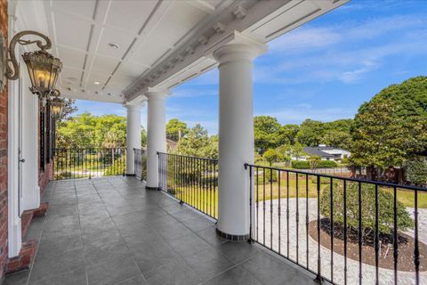 A home in MOUNT DORA