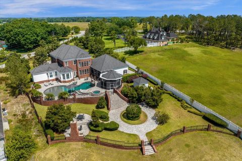 A home in MOUNT DORA