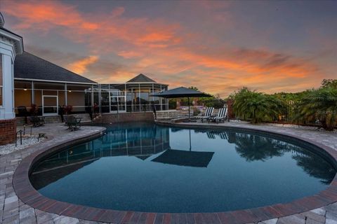 A home in MOUNT DORA