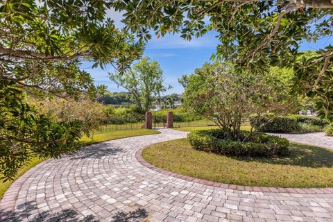 A home in MOUNT DORA