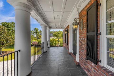 A home in MOUNT DORA