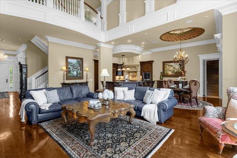 A home in MOUNT DORA