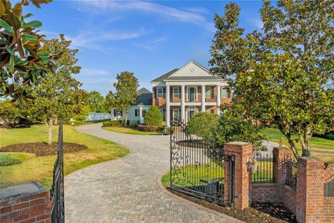 A home in MOUNT DORA