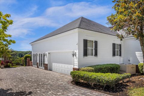 A home in MOUNT DORA