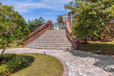 A home in MOUNT DORA