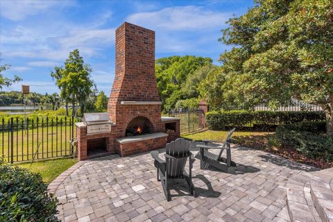 A home in MOUNT DORA