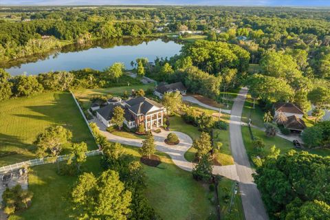 A home in MOUNT DORA