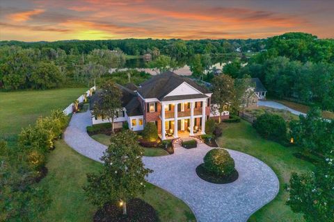 A home in MOUNT DORA