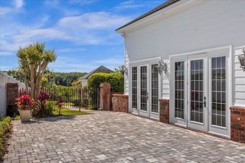 A home in MOUNT DORA