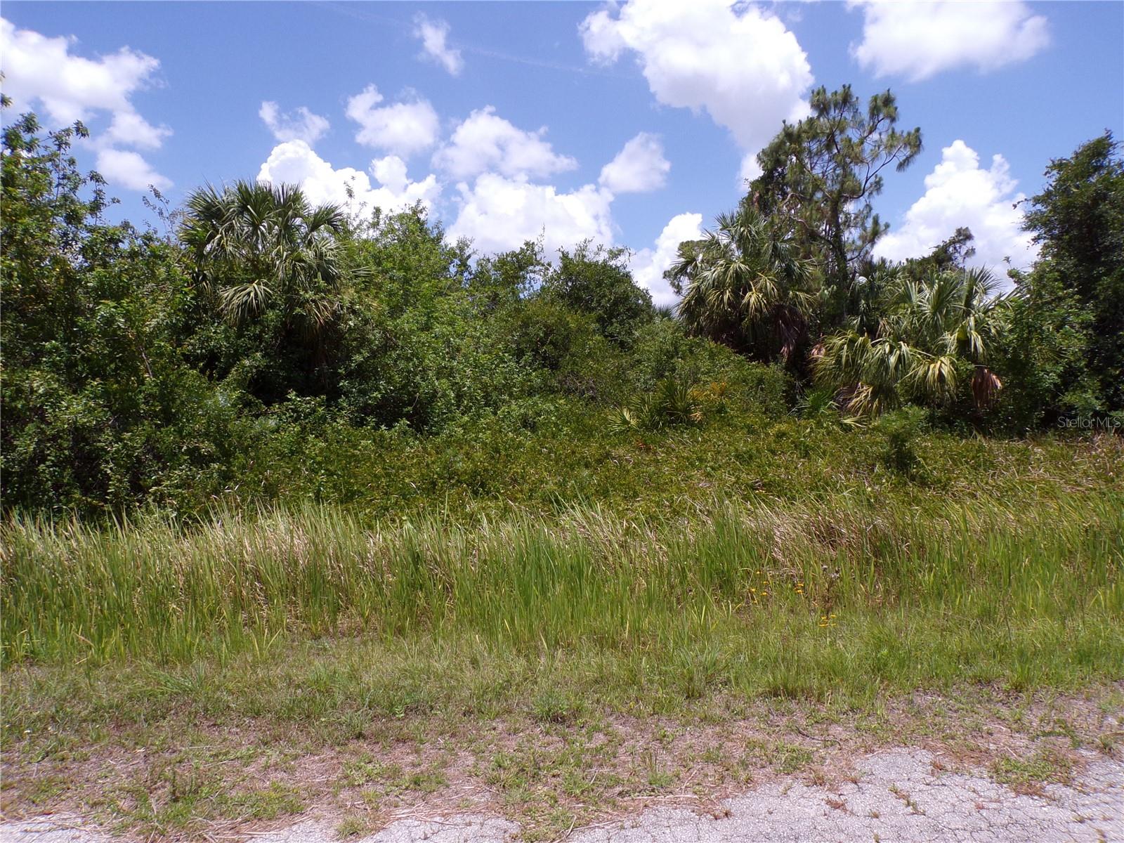 This lot is in the desirable flood zone X and on a quiet street that would be a great place to build your dream home and retire or raise your family. Less than 6 miles to I75 makes this location an easy commute to almost anywhere, and only 26 miles to Chadwick park at Englewood Beach with amazing sunsets, 6 miles to Port Charlotte Town Center and only 10 miles Punta Gorda Historic district and waterfront park with lots of shopping and dining options. Tampa Bay Rays spring training and the fairgrounds are just minutes away, also multiple golf courses and some of the best boating and fishing in all of Florida. Red Soxs, Orioles, Twins and Braves spring training all within an hour’s drive. Buyer and buyers rep responsible for determining environment conditions and endangered species restrictions. This lot is priced to sell so please call for availability! This lot is at a great price point for the investor call today.