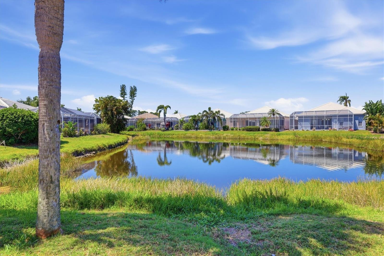 MARBELLA - Residential