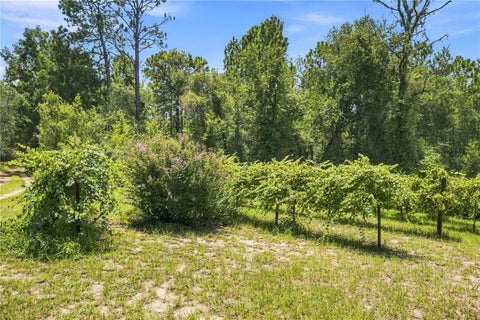 Tiny photo for 5257 N Satin Ter, Dunnellon, FL 34432 (MLS # OM731154)