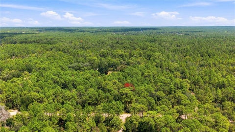 Tiny photo for 5257 N Satin Ter, Dunnellon, FL 34432 (MLS # OM731154)