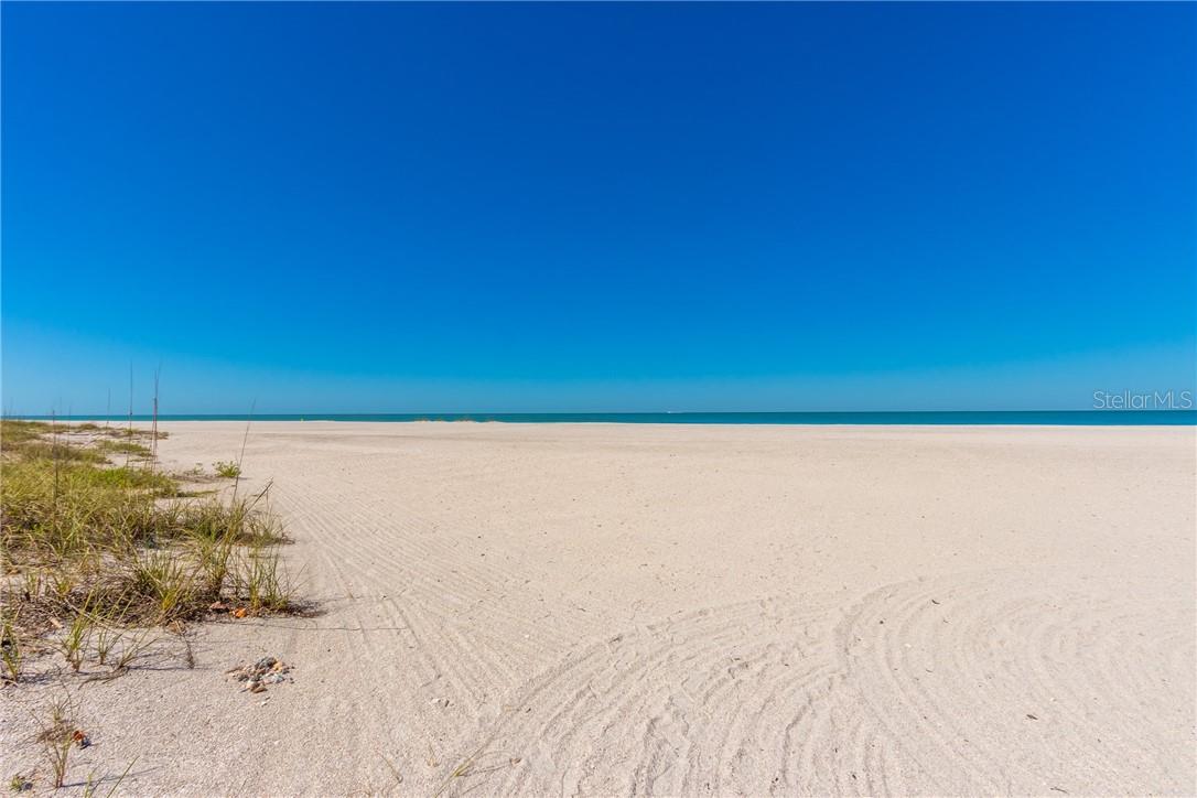 CLEARWATER SAND KEY - Residential