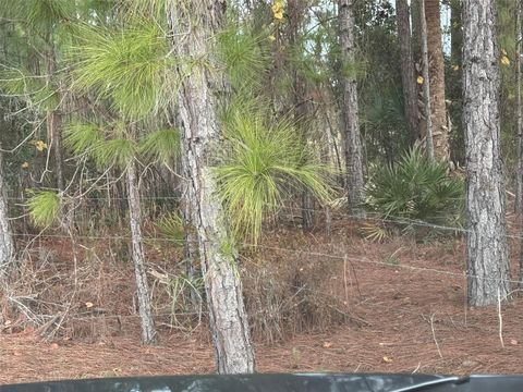 Tiny photo for 29605 Fullerville Road, Deland, FL 32720 (MLS # V4946393)