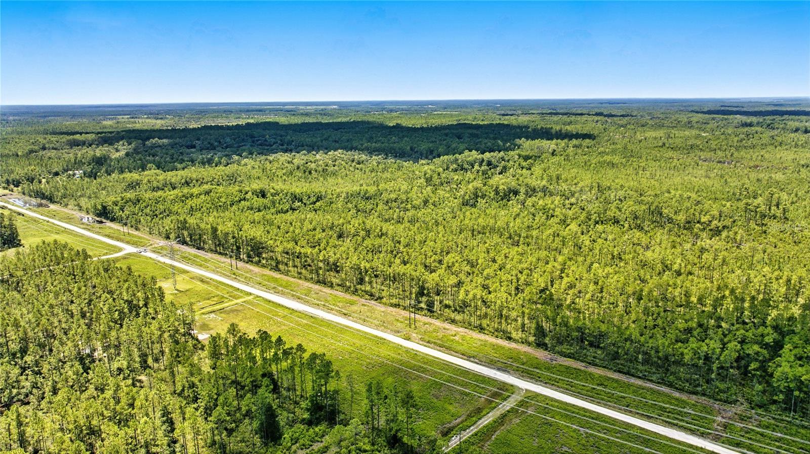 Prime recreational acreage or homesite opportunity on 10± acres in NE Marion County! Tract #1 features a balanced mix of uplands and lowlands, creating excellent wildlife habitat and natural diversity. With planted pine rows, a relatively flat topography, and unmatched privacy, this property offers the perfect canvas for your dream homesite or a secluded recreational retreat. Ideally located just minutes from the Ocklawaha River, several lakes, and the Ocala National Forest, outdoor recreation and natural beauty are right at your doorstep. This parcel adjoins six other land offerings and may be purchased individually, combined, or as part of the entire assemblage. Truly one of the best-priced 10+ acre tracts in all of Marion County! Owner Financing Available — 30-year amortization, 10-year balloon, 10% interest, $10,000 down-payment, monthly payment: $615.00, no prepayment penalty, buyer to pay all closing costs.
