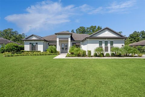 Tiny photo for 32139 Red Tail Boulevard, Sorrento, FL 32776 (MLS # O6356380)