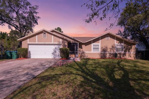 Photo of 3144 Boxelder Street, Deltona, FL 32725 (MLS # V4945843)