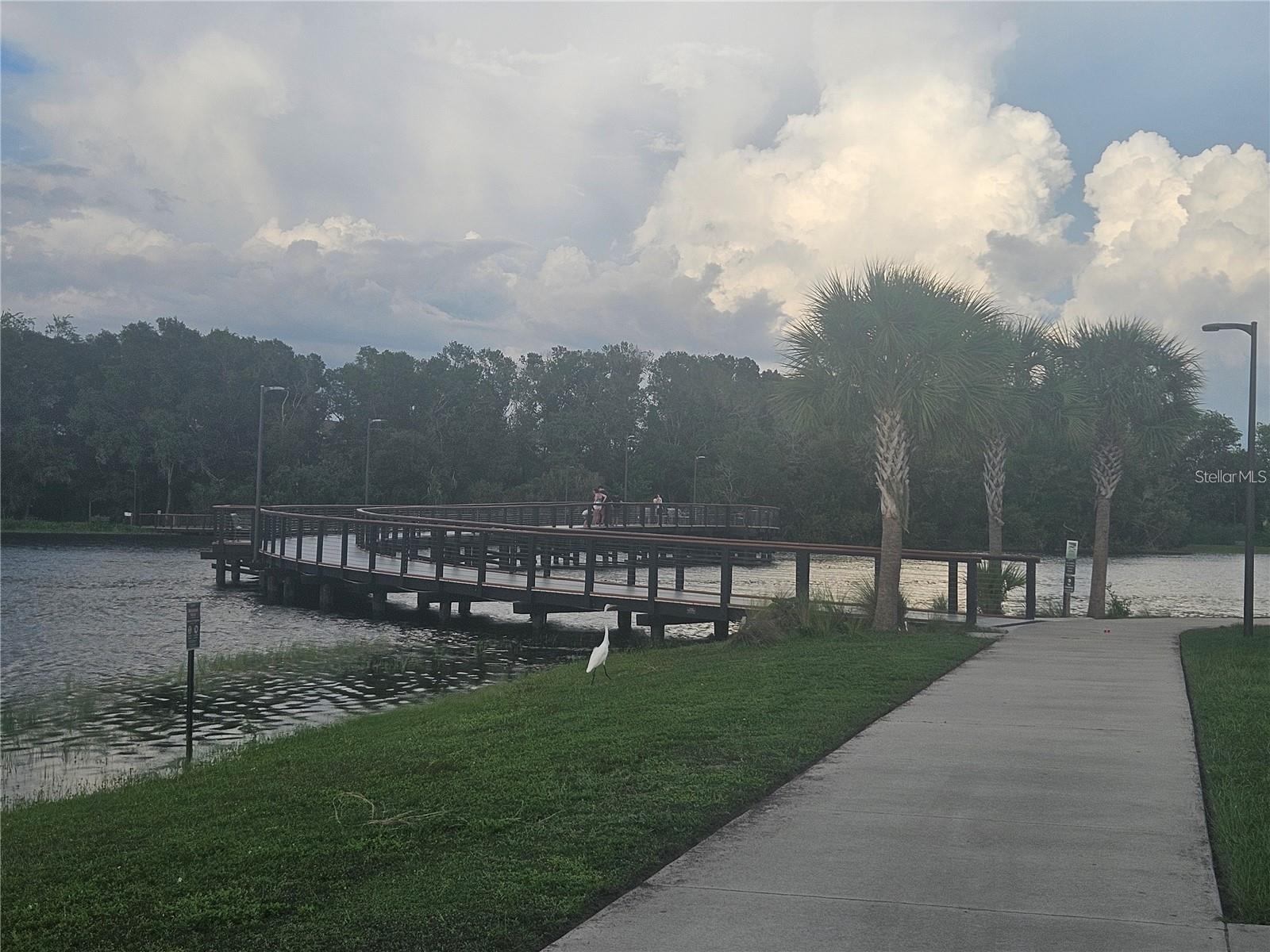 THE TOWERS AT CARROLLWOOD VILL - Residential