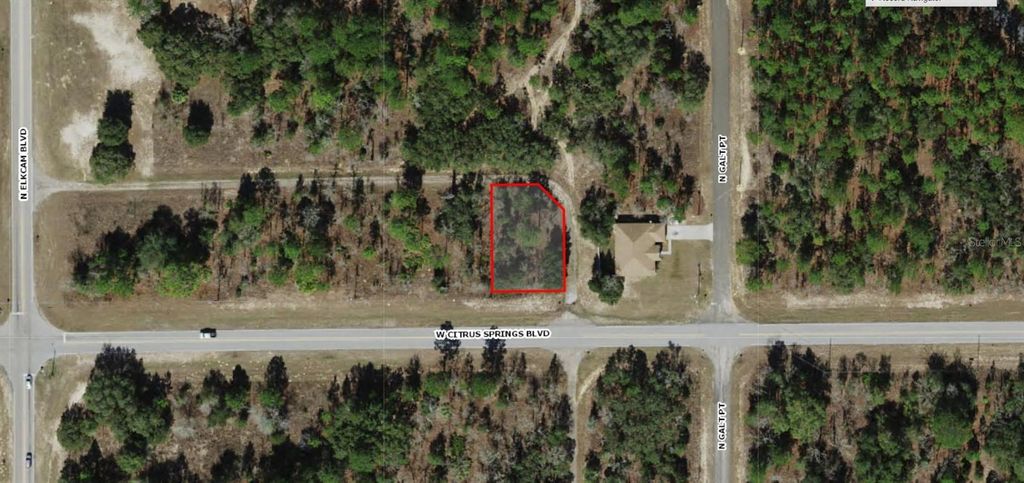 Photo of 2565 W Citrus Springs Boulevard, Citrus Springs, FL 34434 (MLS # C7519164)