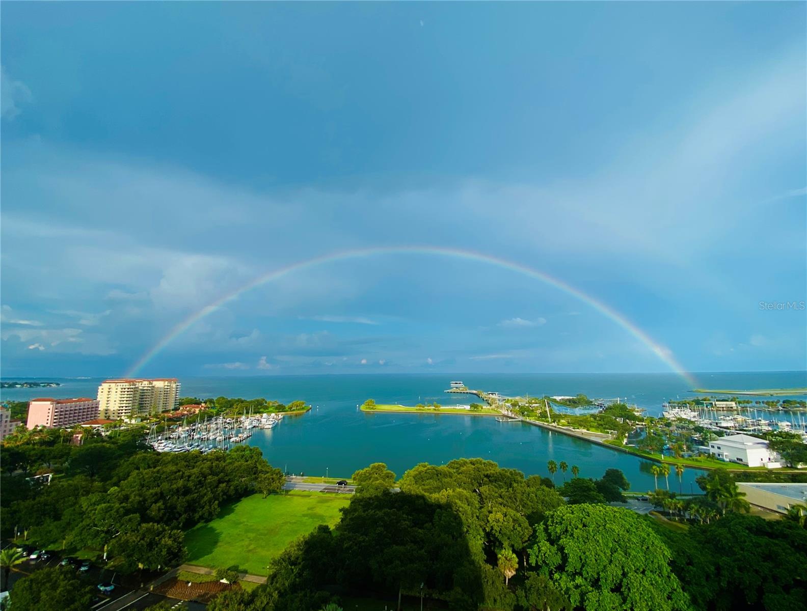 BLISS CONDO - Residential