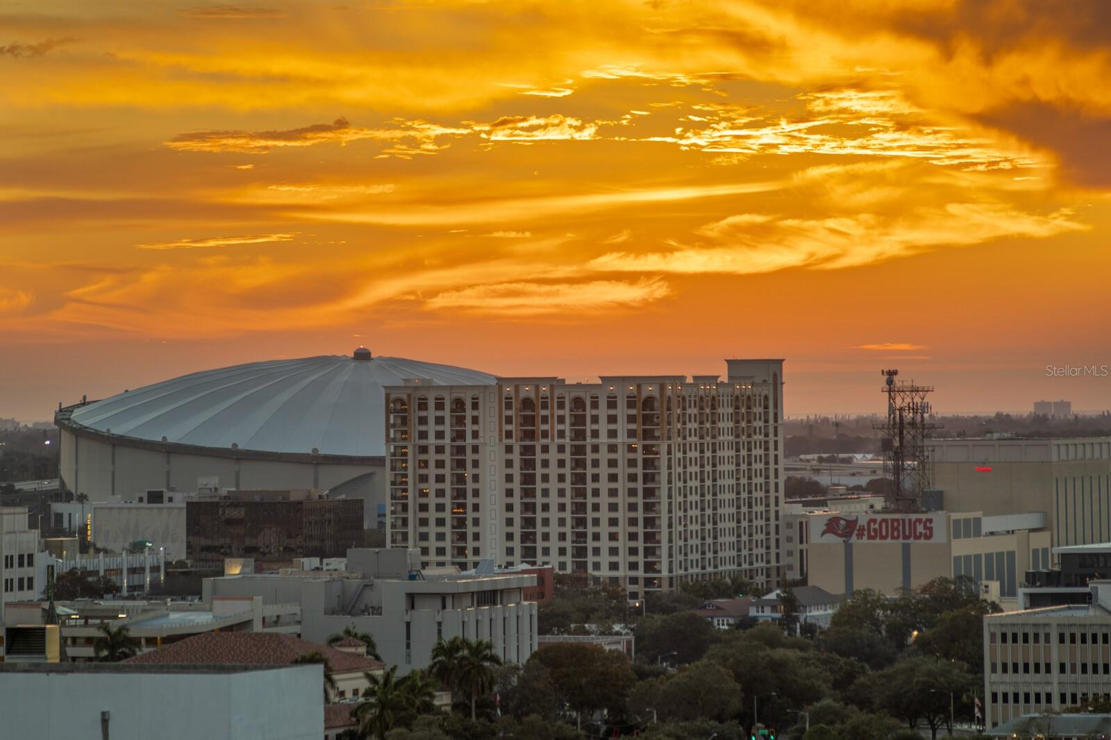 BLISS CONDO - Residential