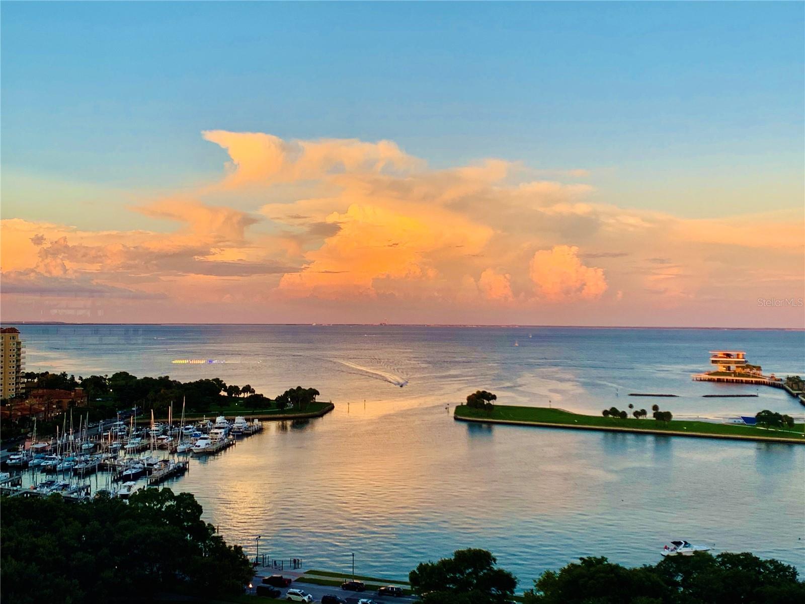 BLISS CONDO - Residential