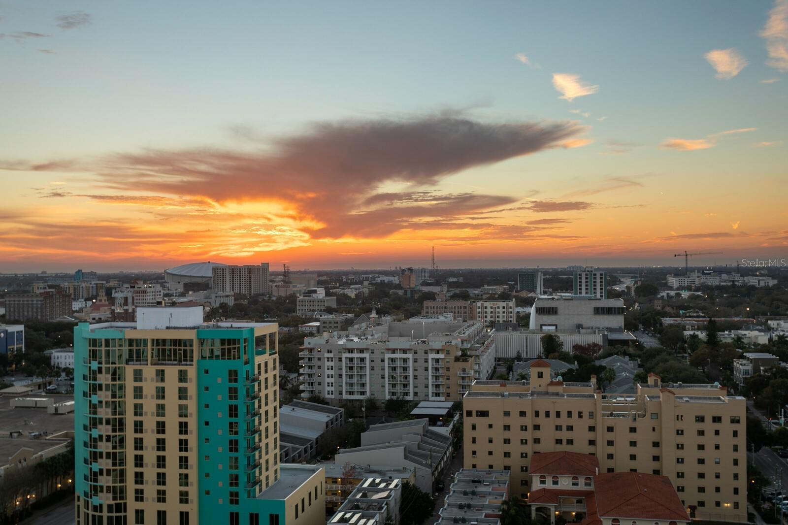 BLISS CONDO - Residential