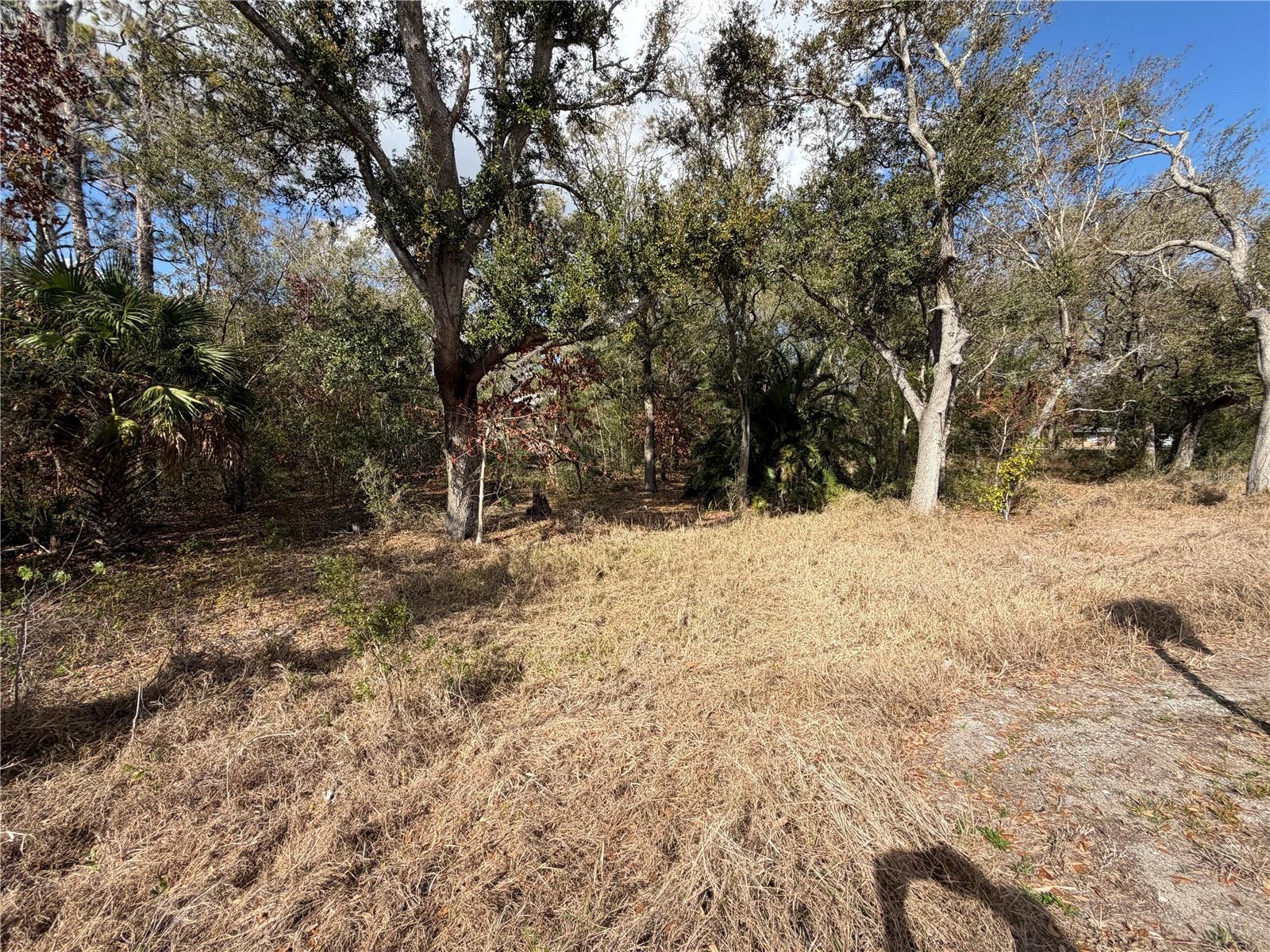 LAKE SEBRING SHEET 05 - Land