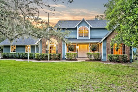595 SEMINOLE WOODS BOULEVARD GENEVA FL 32732