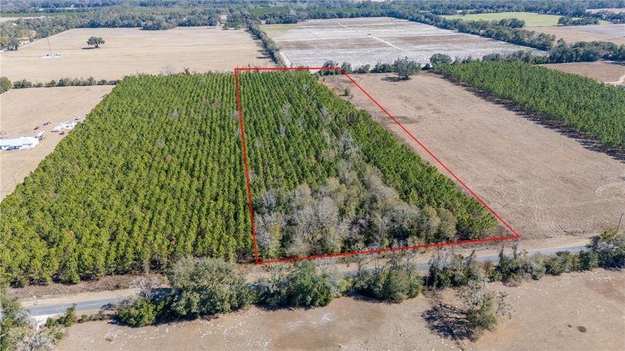 Almost 12 acres of planted pine located on a paved road in a quiet country setting. This property offers the ideal blend of privacy, accessibility, and usability—perfect for a homesite, recreational retreat, or long-term land investment. The tract is high and dry with established pine providing both natural beauty and future value. Plenty of room for a home, barn, or workshop, while still maintaining a peaceful rural feel. Seller believes a well and septic system may exist on the property based on prior improvements, but their location and condition are unknown. Buyer to verify existence, location, and usability to their satisfaction. Conveniently located within 30 minutes of the Suwannee River as well as Cedar Key, offering world-class fishing, boating, and outdoor recreation. You’re also within easy reach of Gainesville for shopping, dining, healthcare, and the University of Florida. If you’re looking for manageable acreage with paved access, timber value, and a true country atmosphere—this one checks all the boxes.