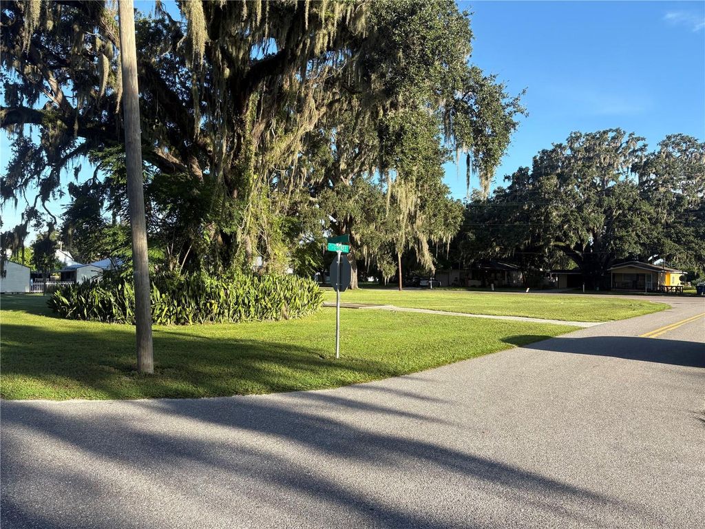 Photo of 425 W Broadway Street, Fort Meade, FL 33841 (MLS # L4955578)