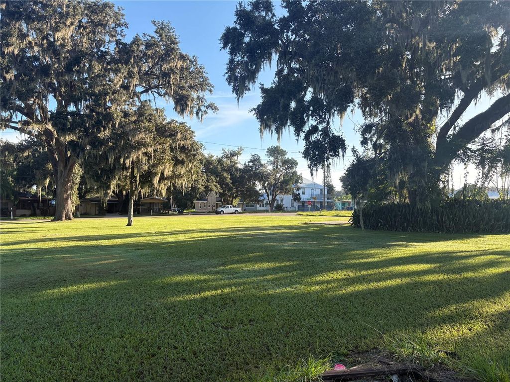 Photo of 425 W Broadway Street, Fort Meade, FL 33841 (MLS # L4955578)