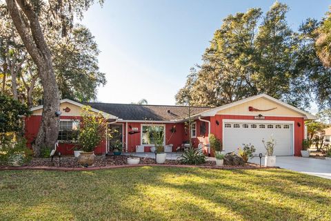 A home in PALM COAST