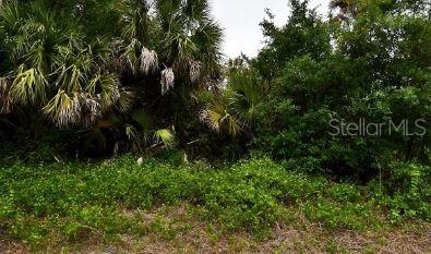 Photo of Sernice Street, North Port, FL 34288 (MLS # D6149392)