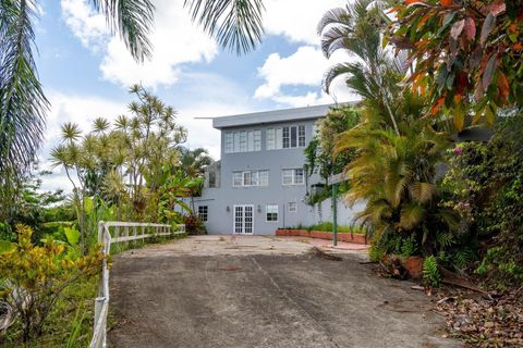 734 BO ARENAS CIDRA  00739