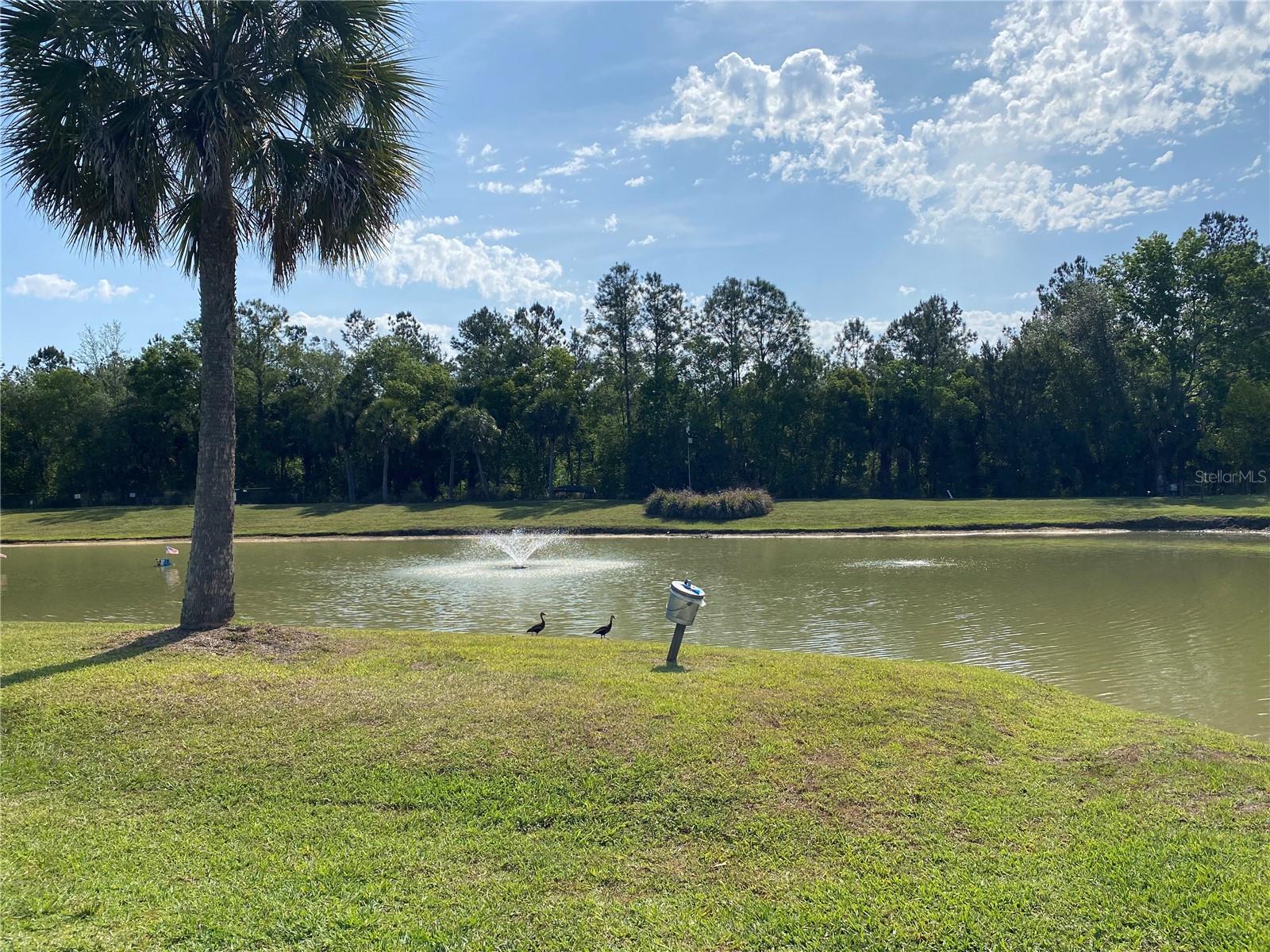 VILLAGE PARK AT THE WILDERNESS RV PARK ESTATES - Land